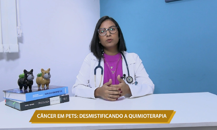 CÂNCER EM PETS: DESMISTIFICANDO A QUIMIOTERAPIA
