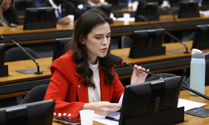 Comissão aprova prioridade para gestantes e lactantes em epidemias