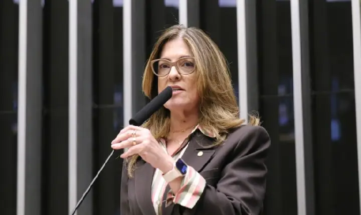 Comissão aprova projeto que permite programas de fidelidade com prazo maior para gestante