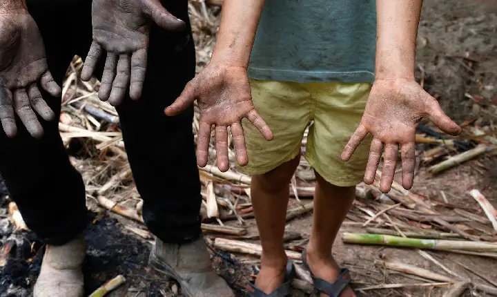 Famílias lutam para reconstruir a vida um mês depois de chuvas em MG
