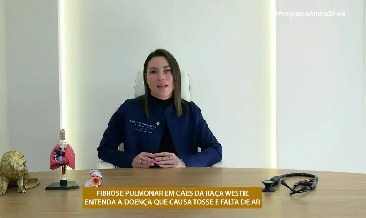 FIBROSE PULMONAR EM CÃES DA RAÇA WESTIE - ENTENDA A DOENÇA QUE CAUSA TOSSE E FALTA DE AR