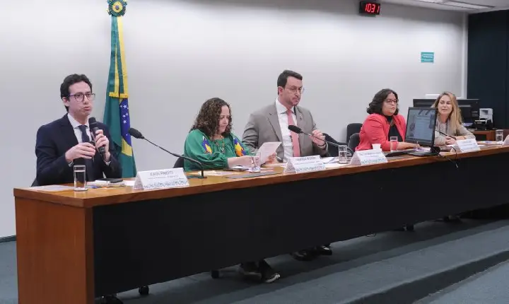 Participantes de audiência apontam falta de apoio a ONGs de animais e superlotação de abrigos