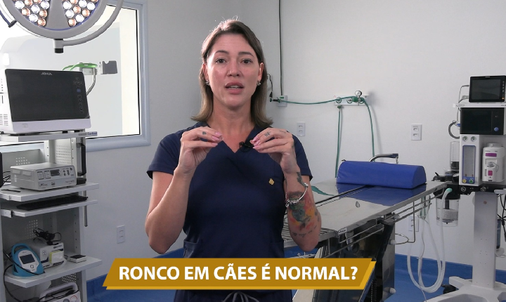 RONCO EM CÃES É NORMAL?