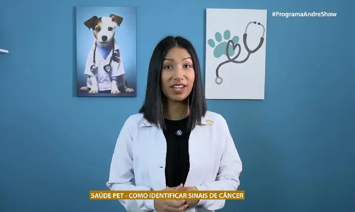 SAÚDE PET - COMO IDENTIFICAR SINAIS DE CÂNCER