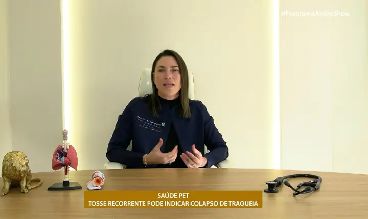 SAÚDE PET - TOSSE RECORRENTE PODE INDICAR COLAPSO DE TRAQUEIA