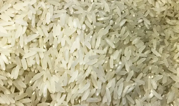 Terremoto: Brasil doará 10 toneladas de arroz à Colômbia