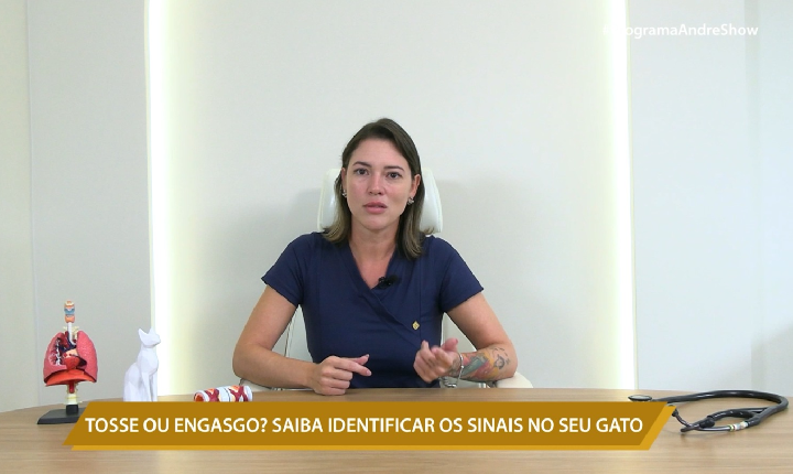 TOSSE OU ENGASGO? SAIBA IDENTIFICAR OS SINAIS NO SEU GATO