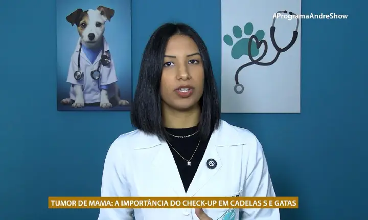 TUMOR DE MAMA: A IMPORTÂNCIA DO CHECK-UP EM CADELAS S E GATAS