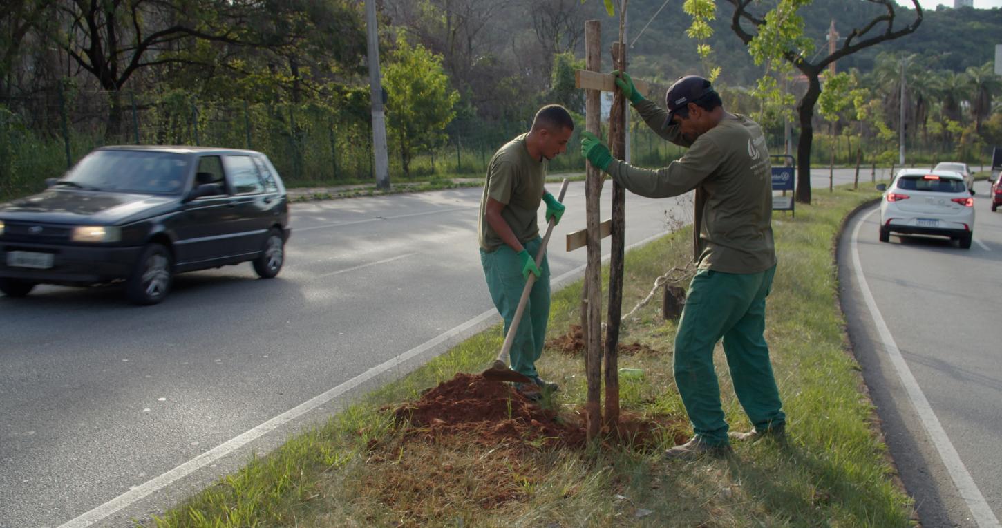 BH Stock Festival: replantio de 30 árvores foi realizado na última segunda-feira