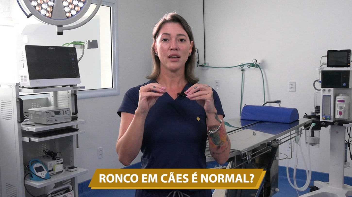 RONCO EM CÃES É NORMAL?