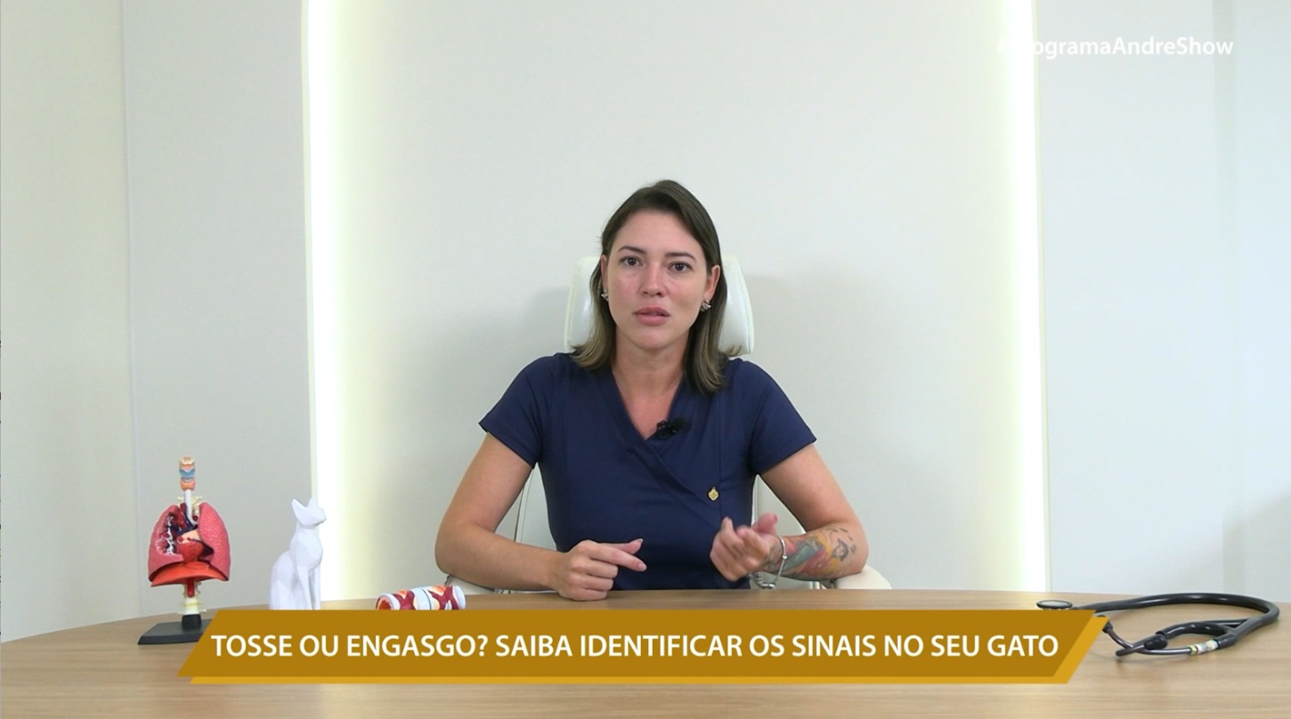 TOSSE OU ENGASGO? SAIBA IDENTIFICAR OS SINAIS NO SEU GATO