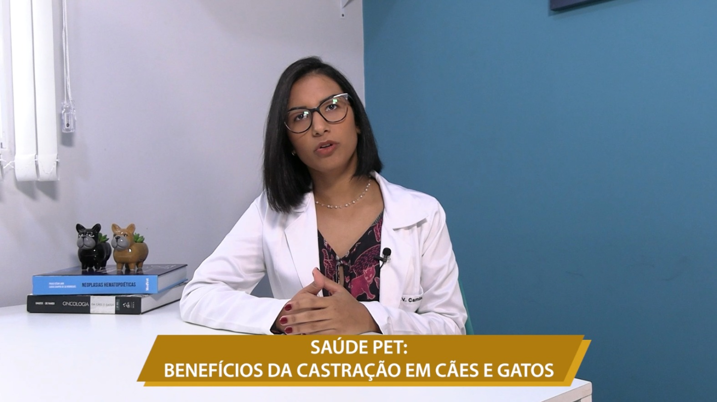 SAÚDE PET: BENEFÍCIOS DA CASTRAÇÃO EM CÃES E GATOS