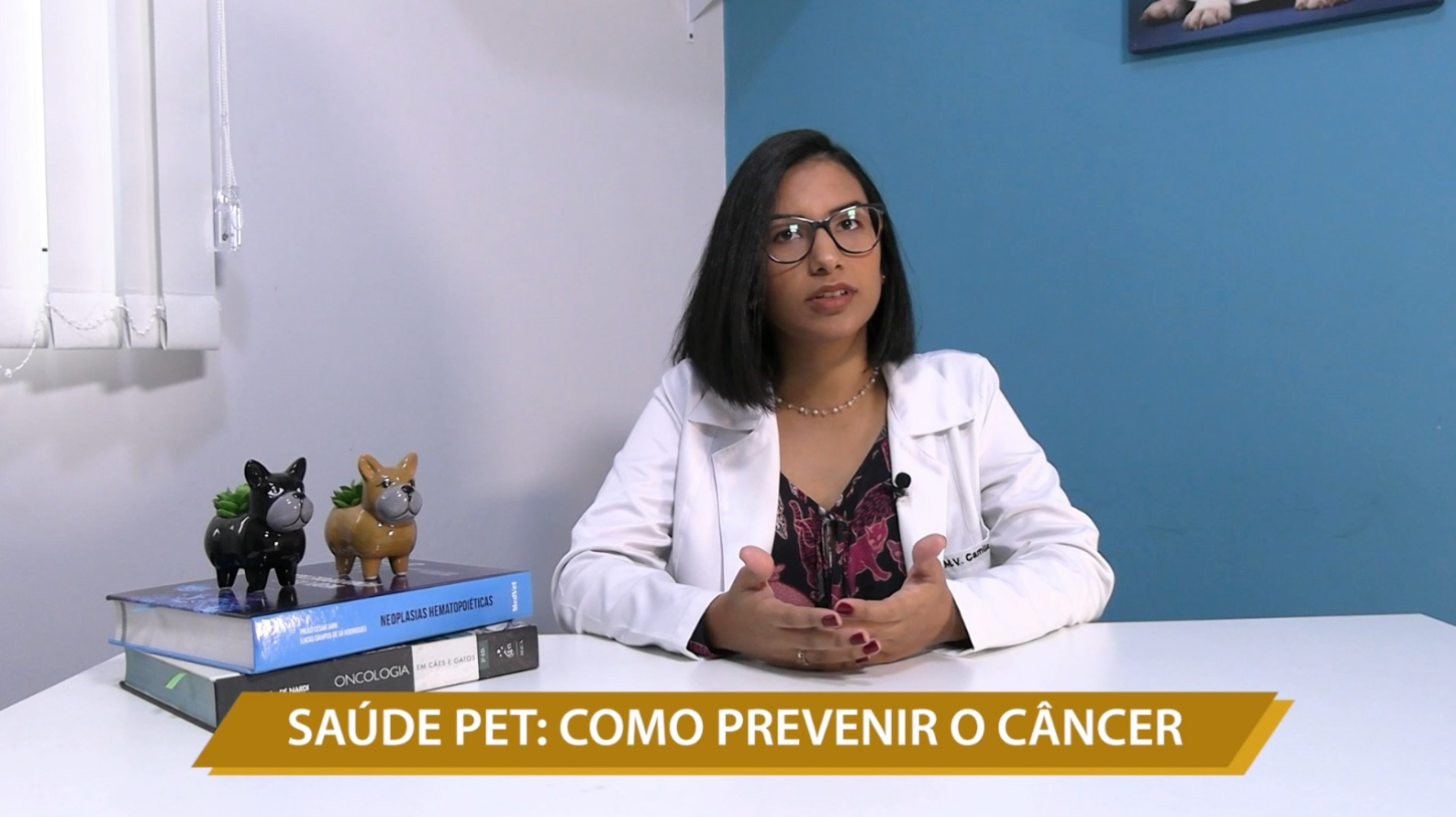 SAÚDE PET: COMO PREVENIR O CÂNCER