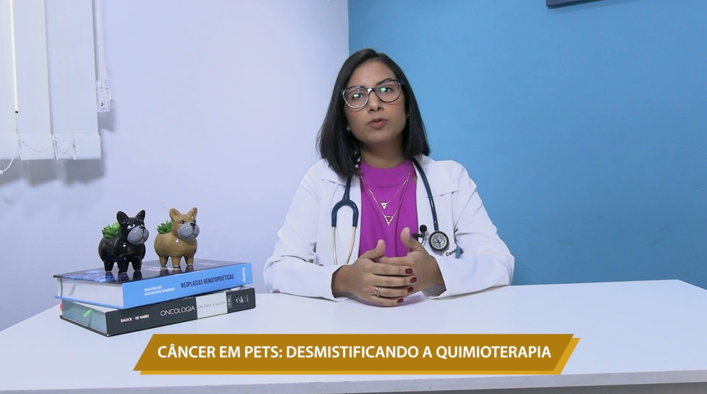 CÂNCER EM PETS: DESMISTIFICANDO A QUIMIOTERAPIA