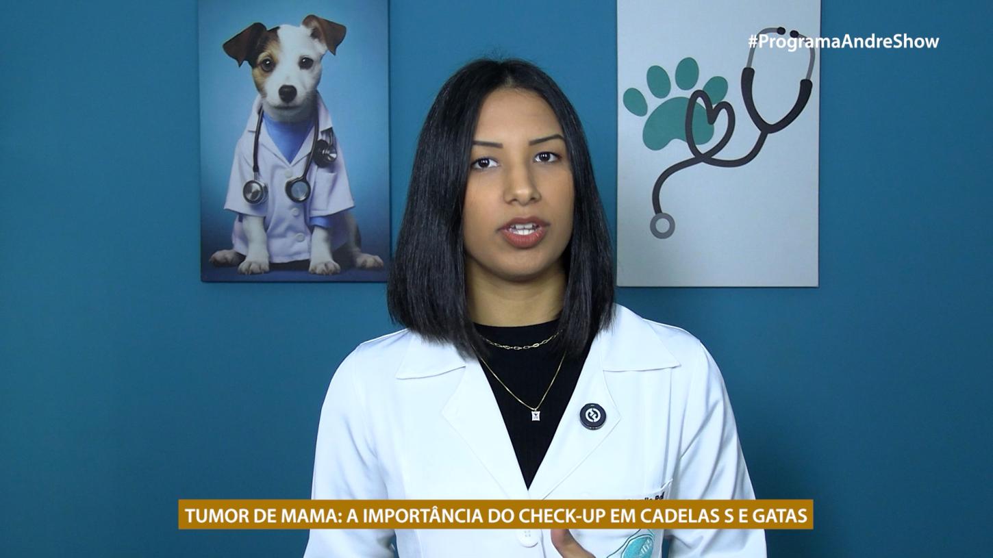 TUMOR DE MAMA: A IMPORTÂNCIA DO CHECK-UP EM CADELAS S E GATAS